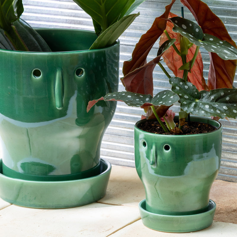plant pot by nebl Fnoobie Pot