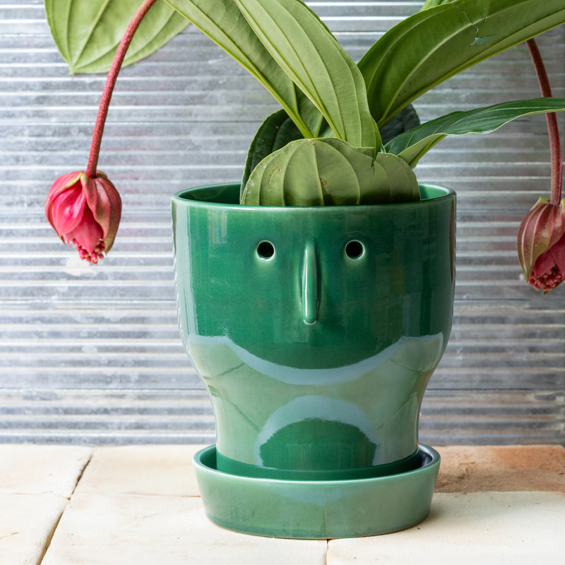 Fnoobie Pot - Emerald Green - Large – Studio Arhoj Store
