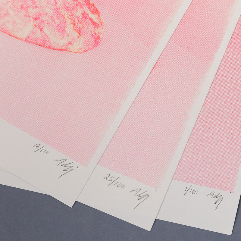 Riso Works