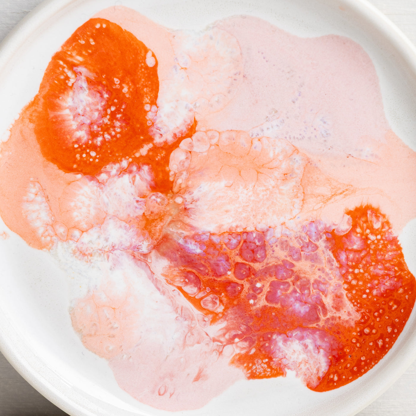 Petri Dish