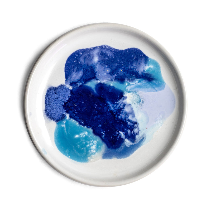 Petri Dish
