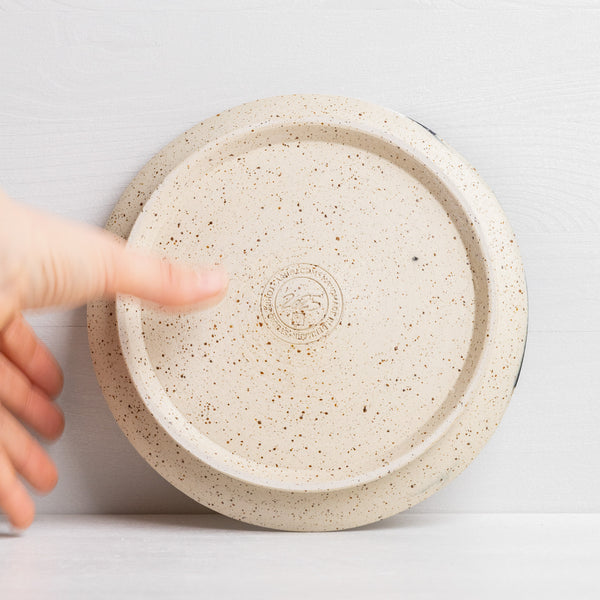 Wall Dish