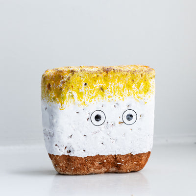 Brick