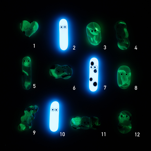 GLOW Fuse Magnets