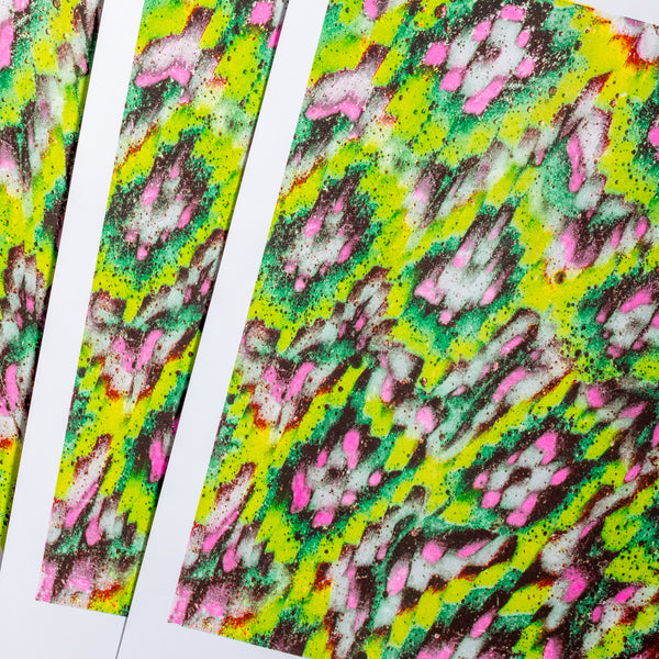 Riso Works