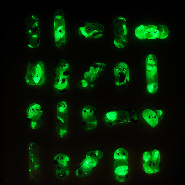 GLOW Fuse Magnets