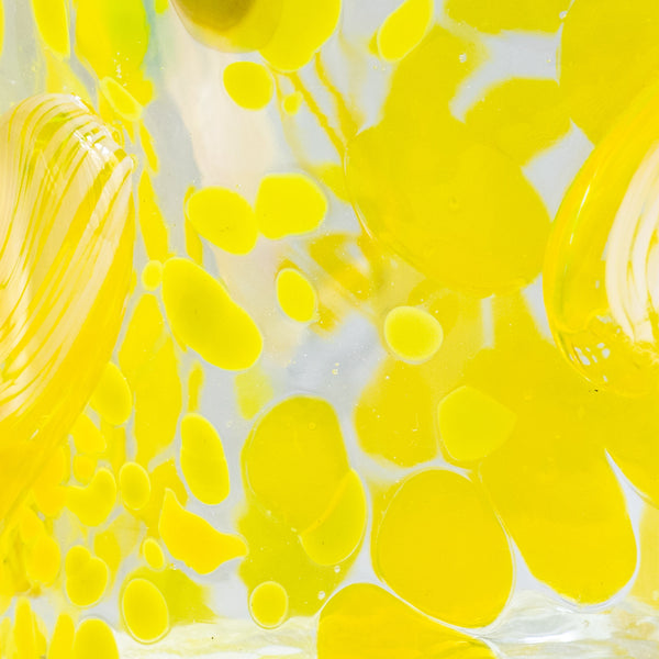 Misfit Glass