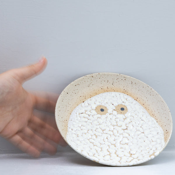 Wall Dish
