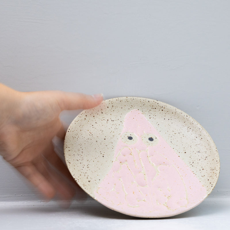 Wall Dish