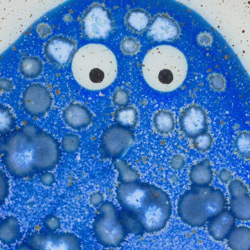 Wall Dish