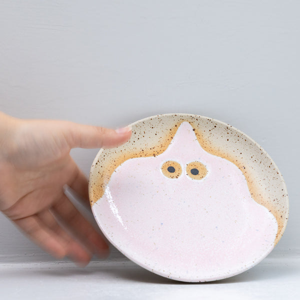 Wall Dish