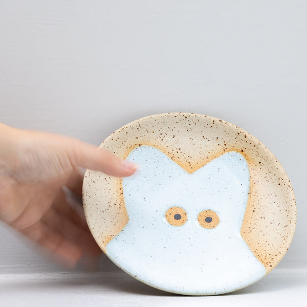 Wall Dish