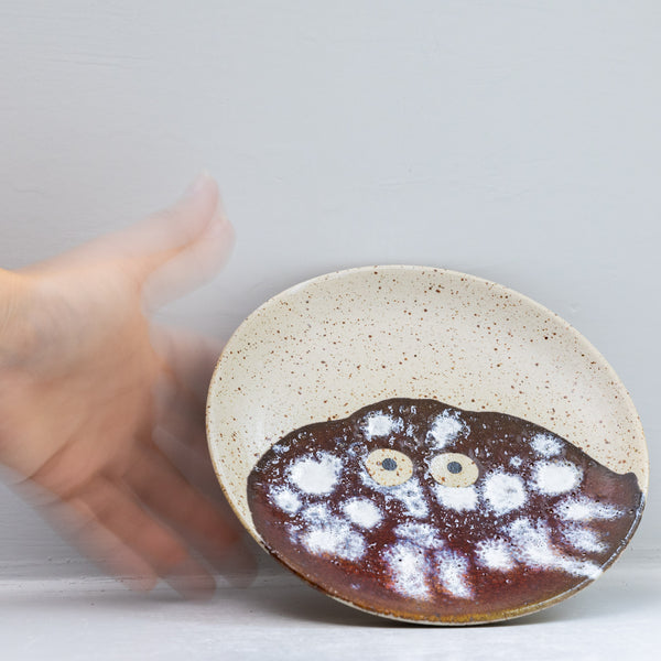 Wall Dish
