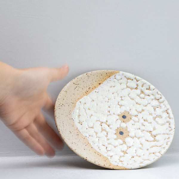 Wall Dish
