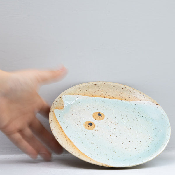 Wall Dish