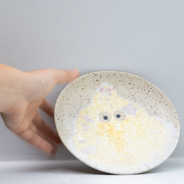 Wall Dish