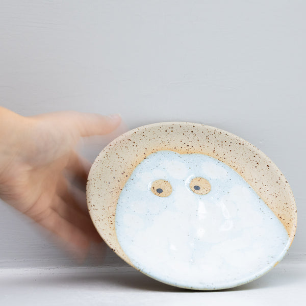 Wall Dish