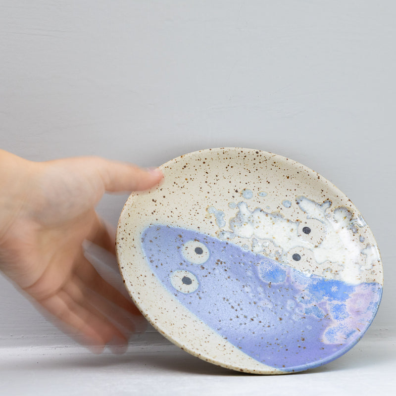 Wall Dish