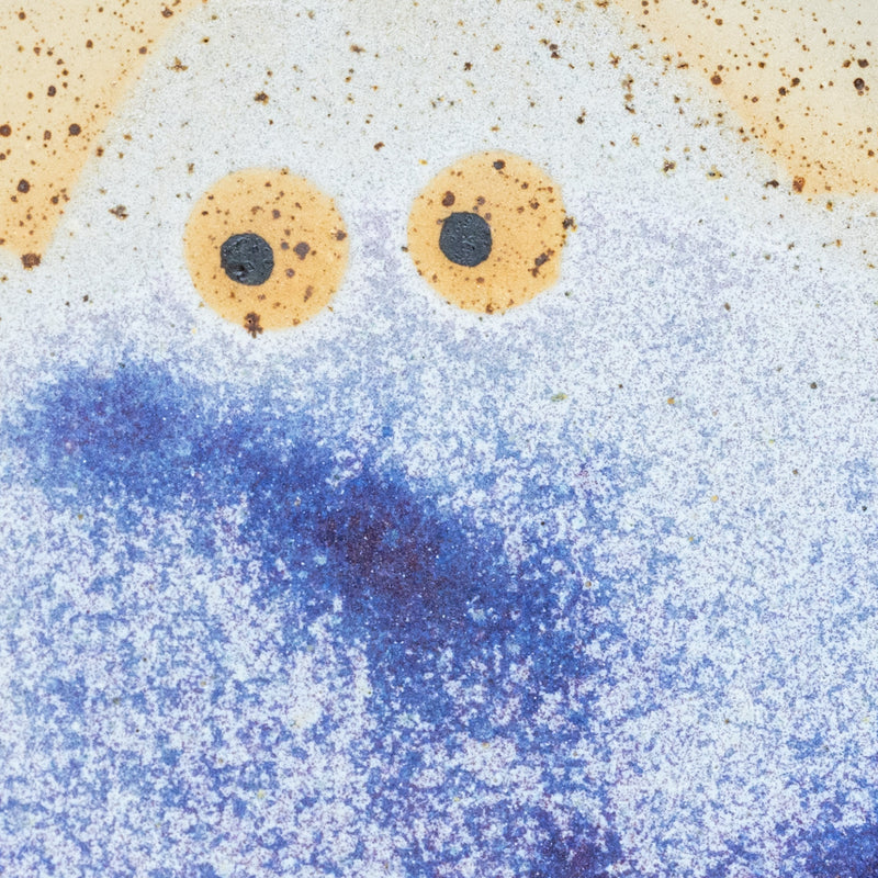 Wall Dish