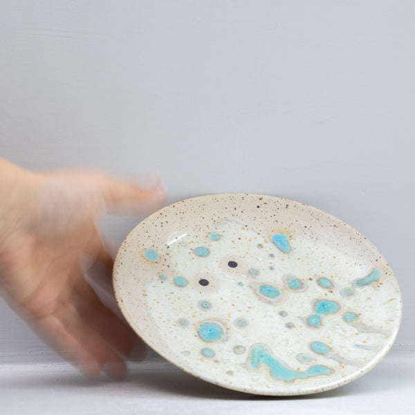 Wall Dish